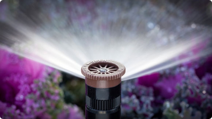 Ajustables Pro Hunter