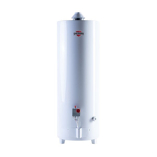 Termotanque A Gas De Pie 50 Litros