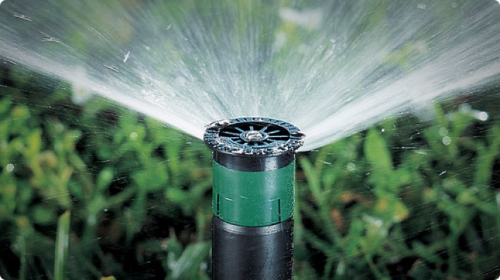 Arco Fijo Pro Hunter