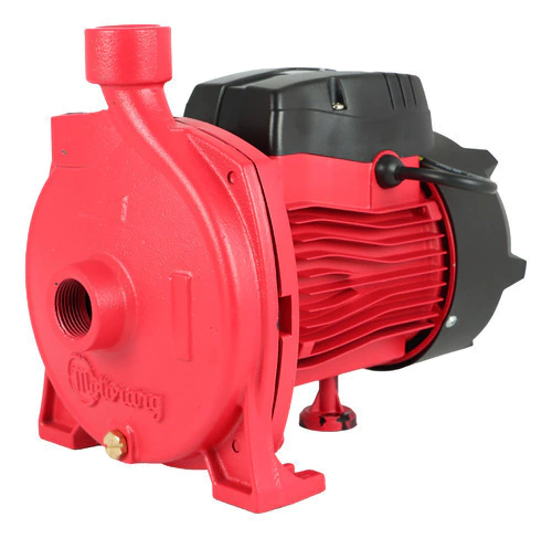 Bomba Centrifuga Motorarg BC 150 M 220v