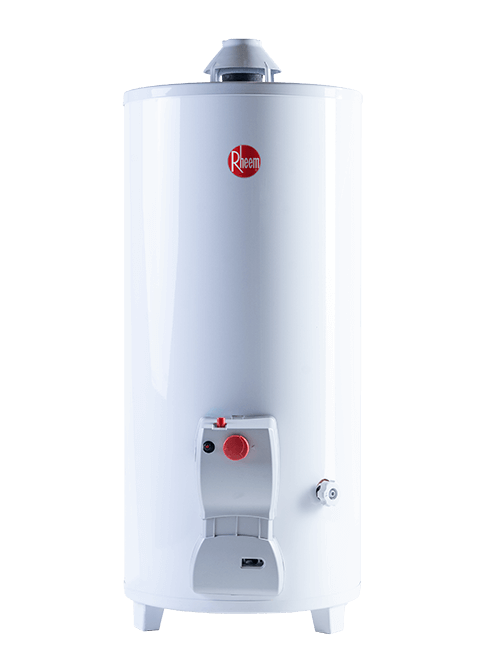 Rheem FUNCTIONAL Residencial Gas 120lt PIE